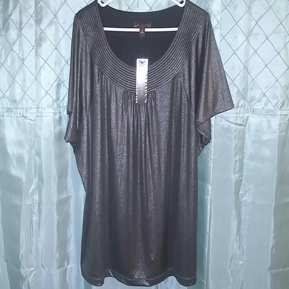 Beautiful Shiny Blouse